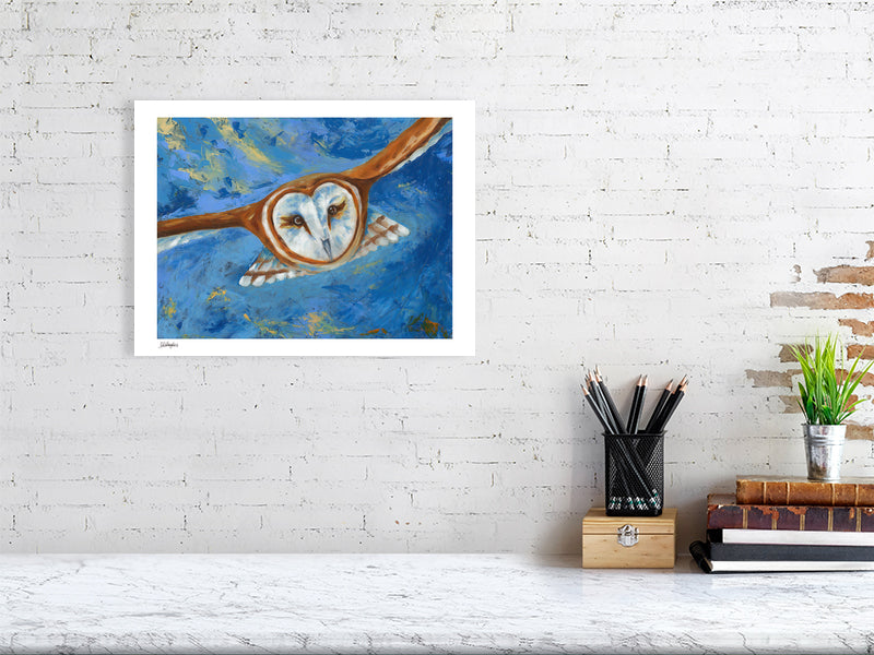Barn owl in flight with blue background wall art print 