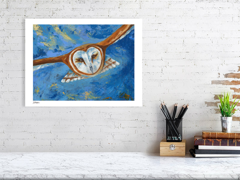 fine art print of barn owl flying
