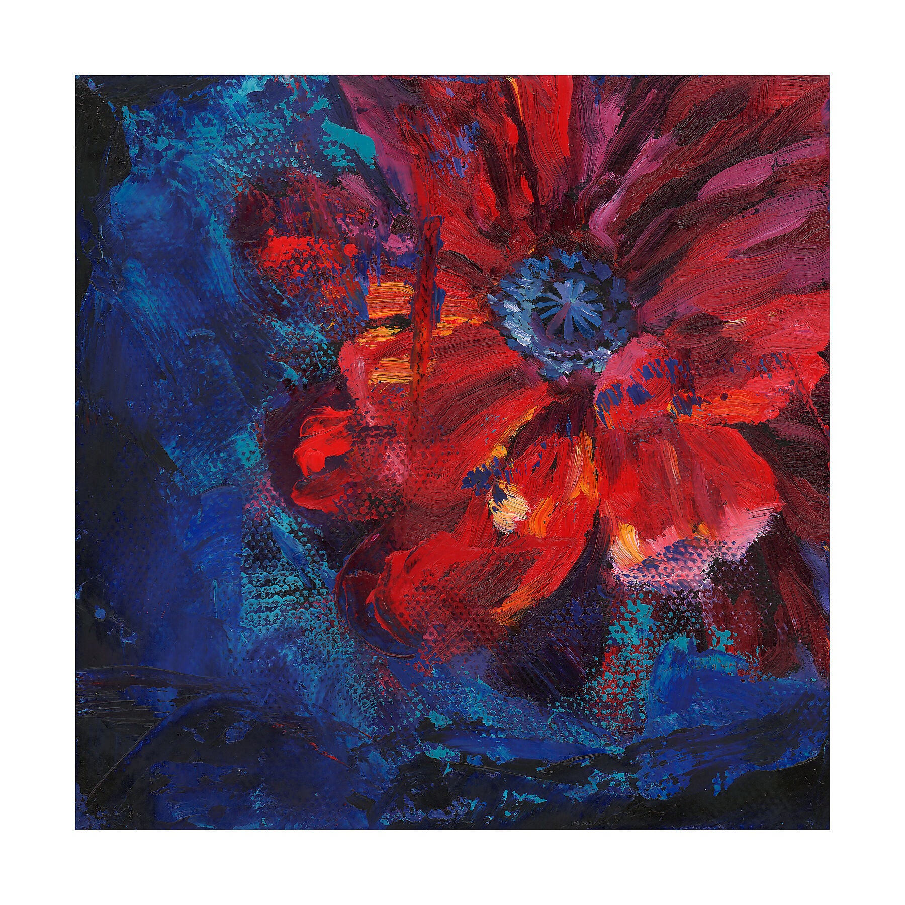 Abstract fine art print of a poppy with contrasting blue background