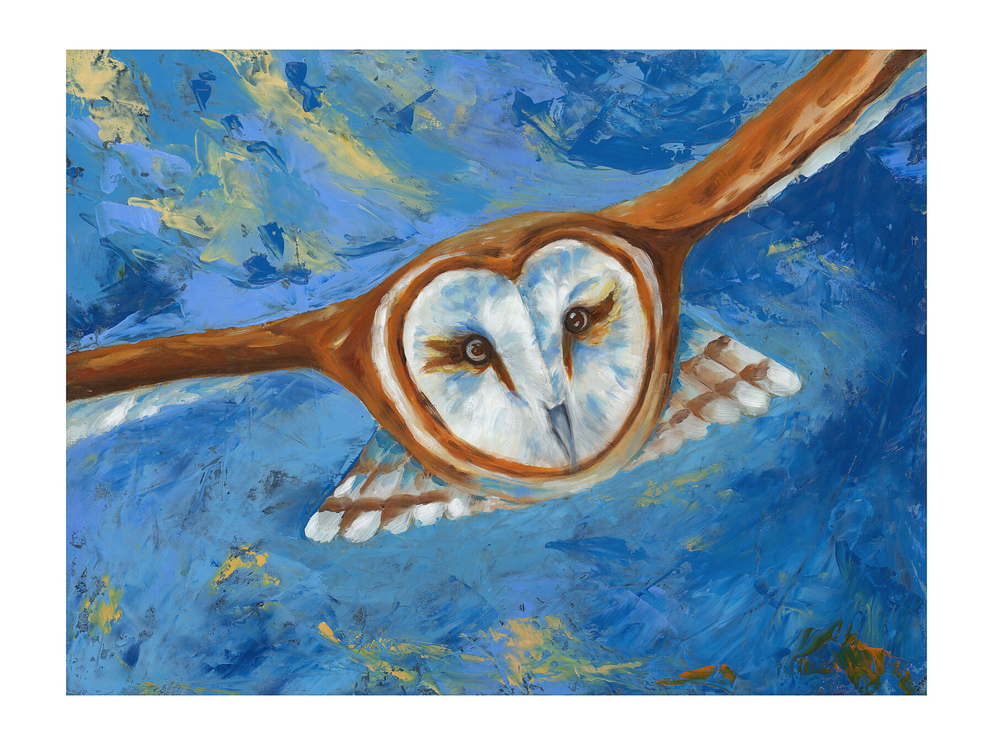 Wall art print of an owl  in flight 