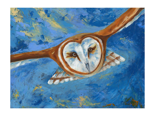Wall art print of an owl  in flight 